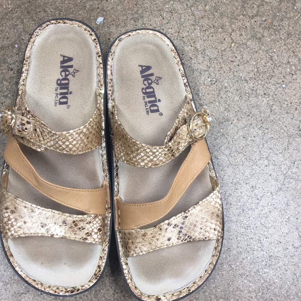 Algeria shoes size 37